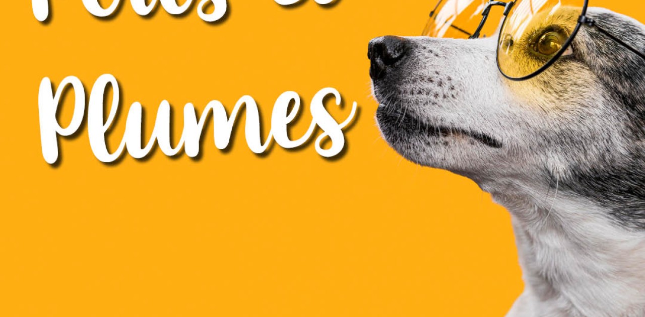 Poils et Plumes RCF AlpesProvence